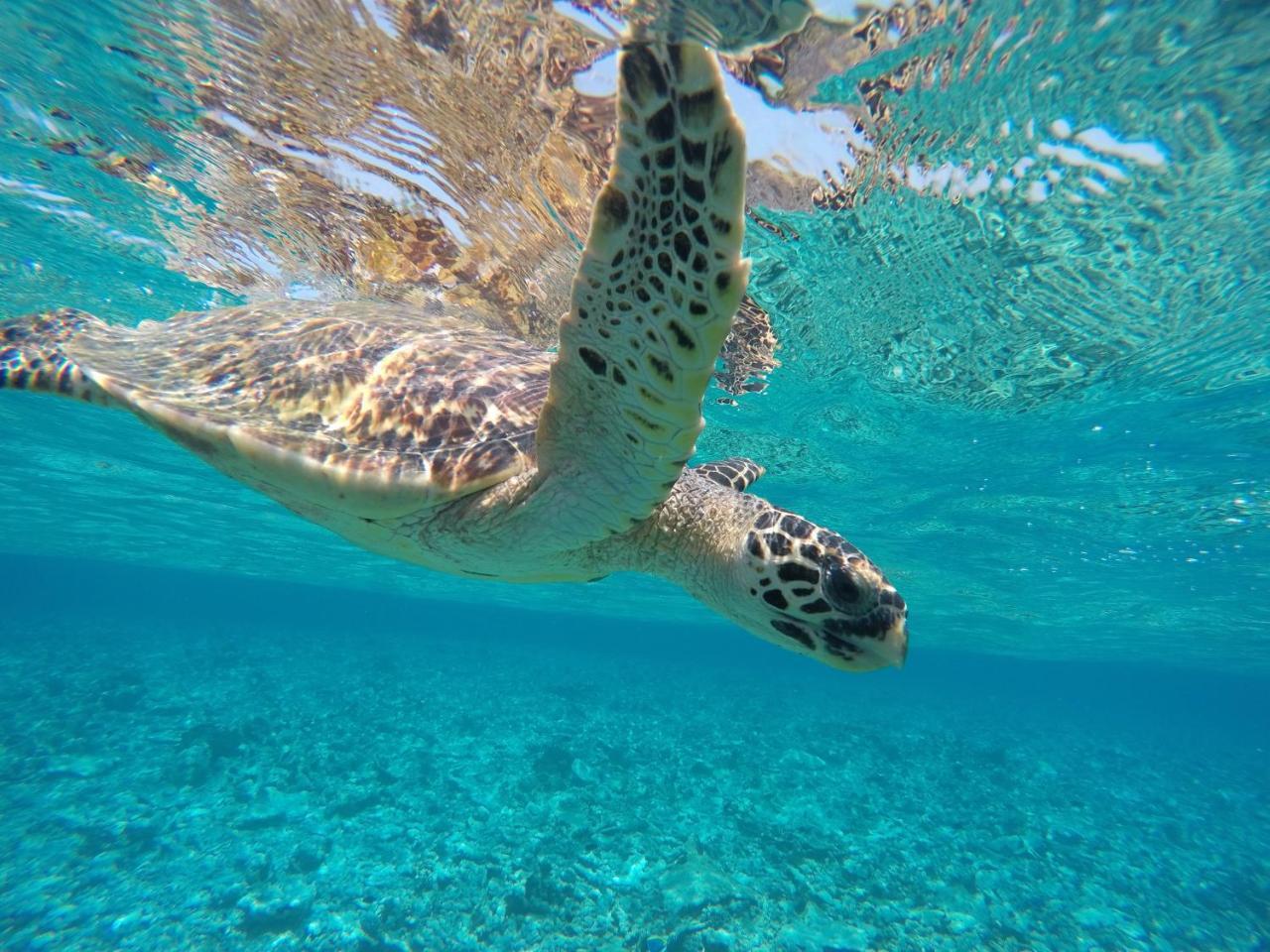 Koimala Beach Ukulhas Εξωτερικό φωτογραφία
