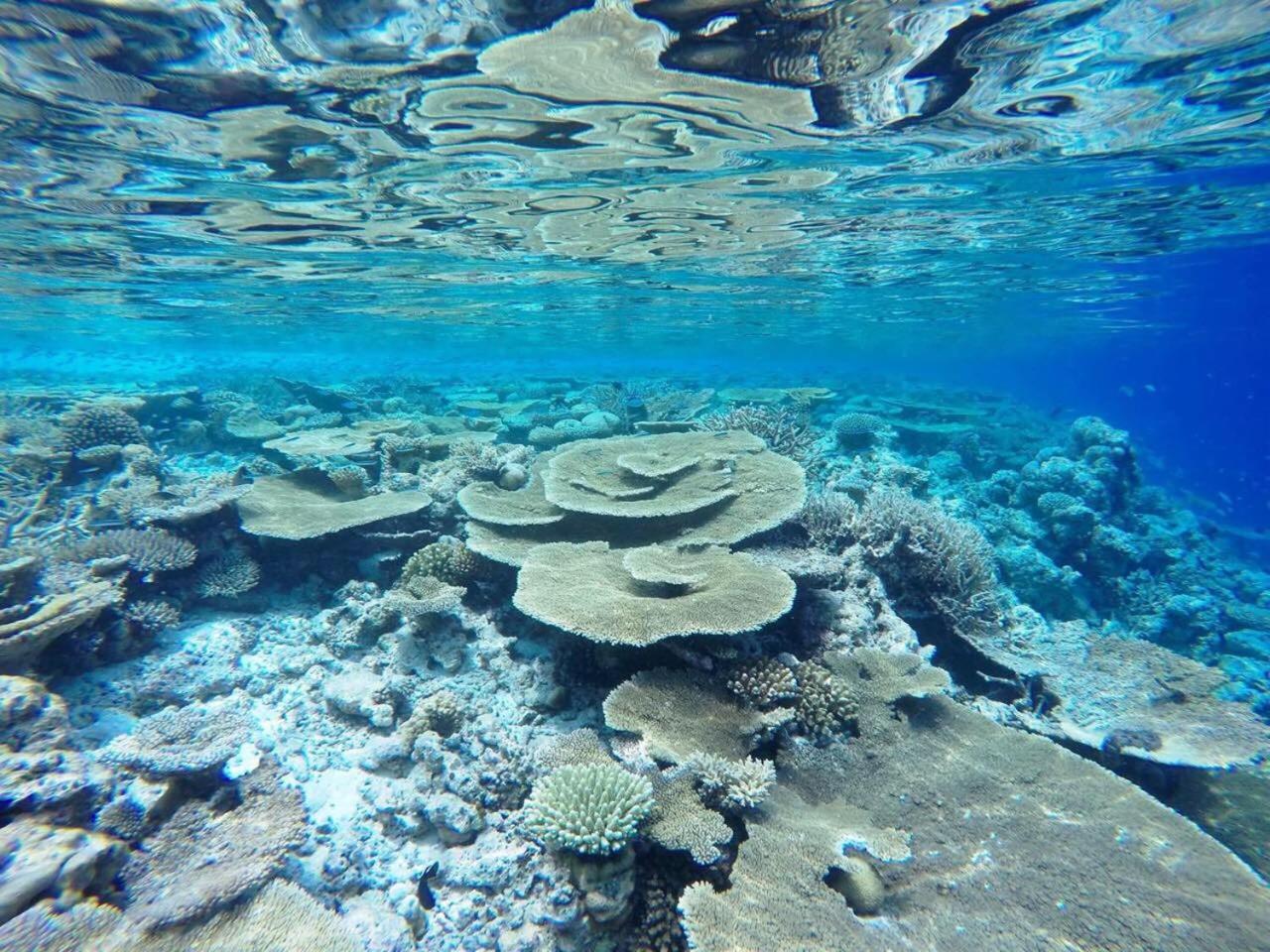 Koimala Beach Ukulhas Εξωτερικό φωτογραφία